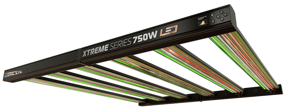 Dimlux Xtreme LEDs - Image 3