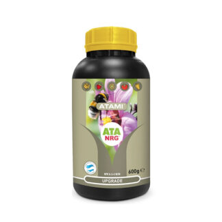 Atami ATA NRG Upgrade