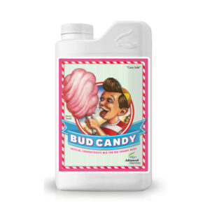 Bud Candy