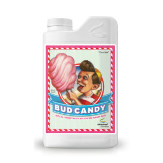 Bud Candy
