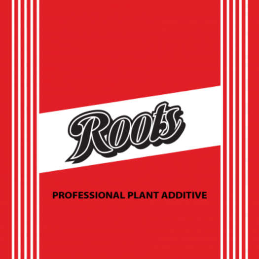 Elite 91 Roots - Image 2