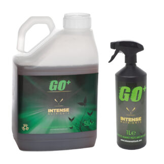 Intense Go Plus