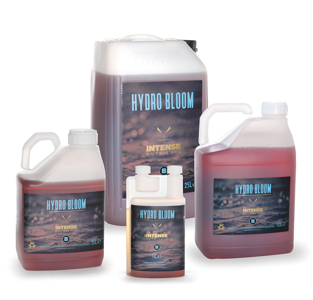 Intense Hydro Bloom A+B