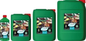 Keep It Clean (Dutch Pro)