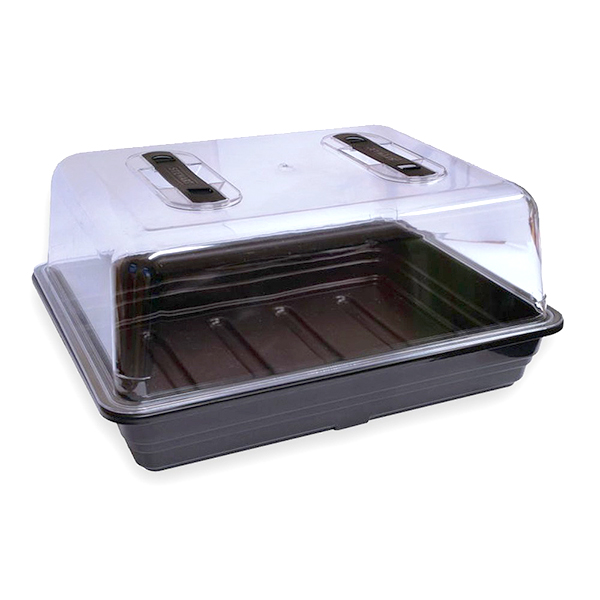 Large Propagator