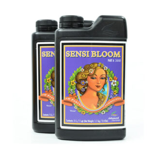 Sensi Bloom