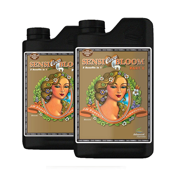 Sensi COCO Bloom
