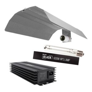 LUMii Black Digital 600w Light Kit