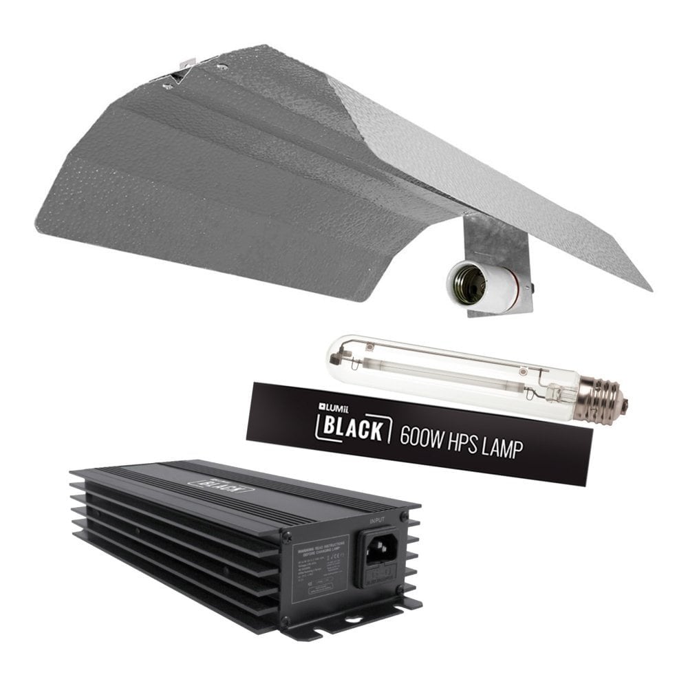 LUMii Black Digital 600w Light Kit