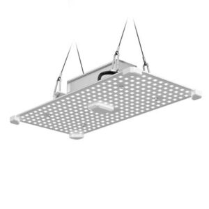 LUMII BLACK BLADE 100W LED