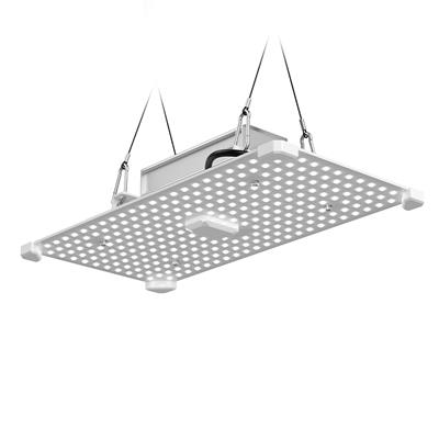 LUMII BLACK BLADE 100W LED