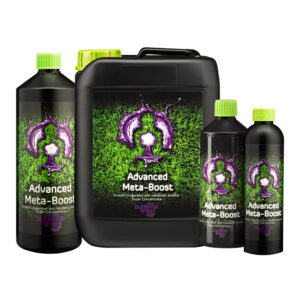 Buddha’s Tree Meta-Boost