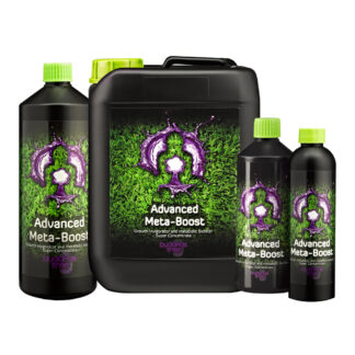 Buddha's Tree Meta-Boost