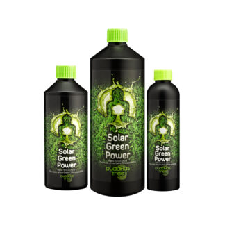 Buddha's Tree Solar Green Power