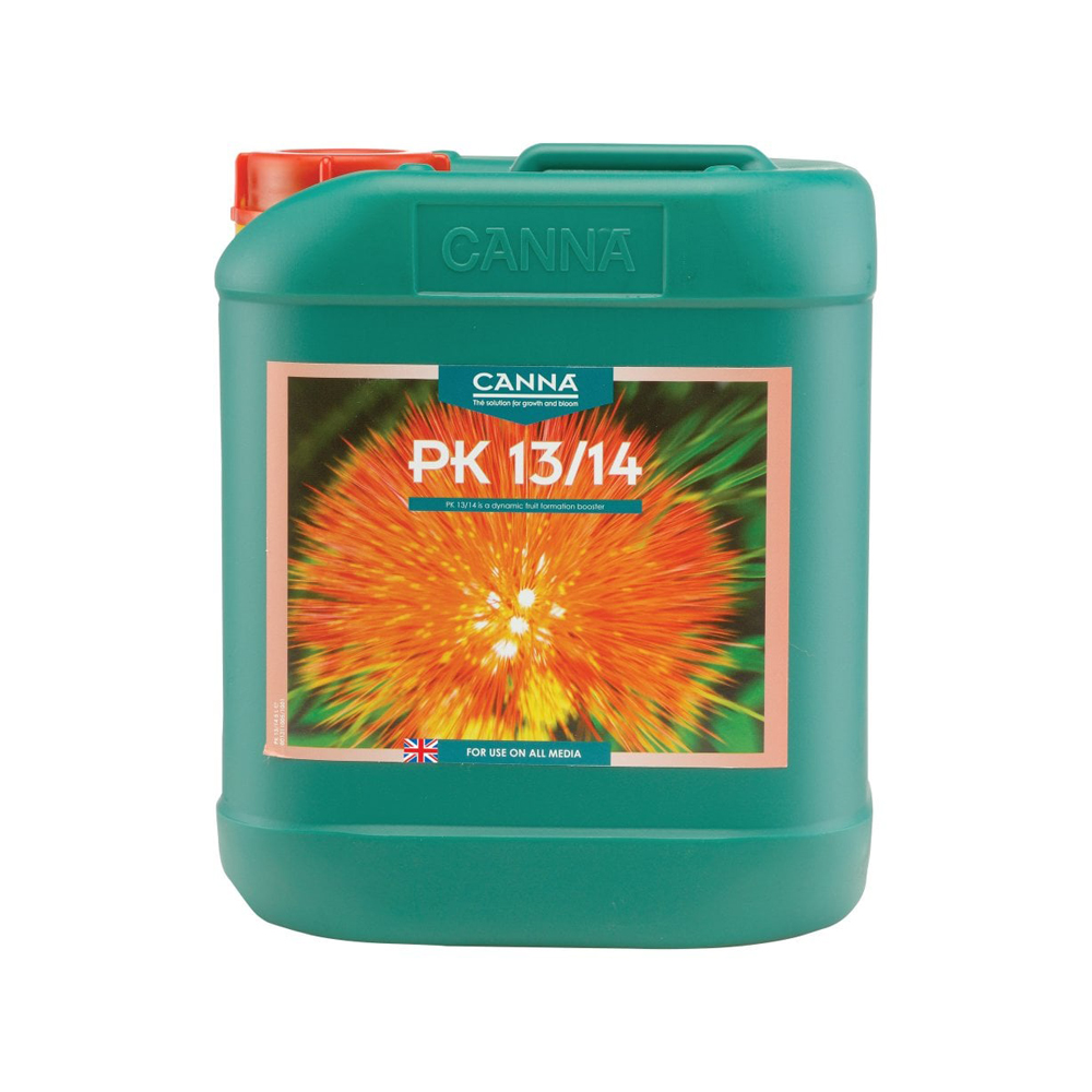 Canna PK 13/14 - Image 2