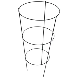 Circular Trellis