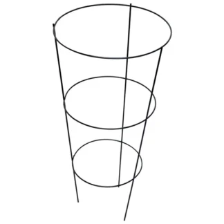 Circular Trellis