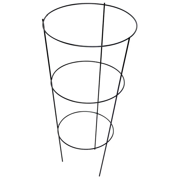 Circular Trellis