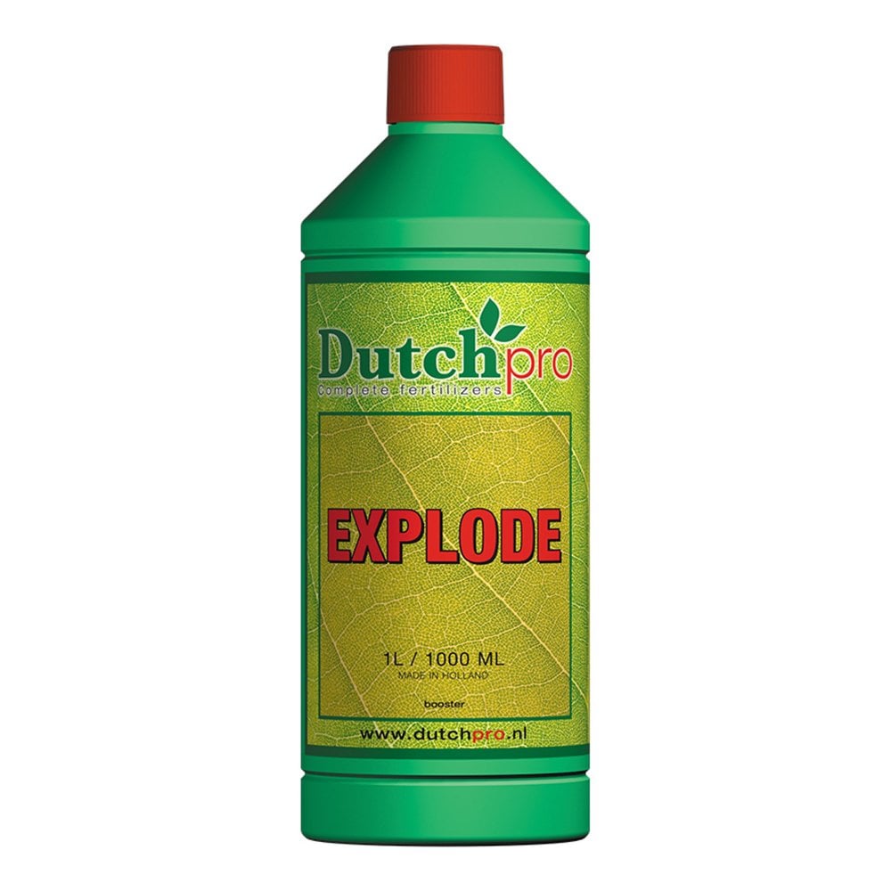 Explode (Dutch Pro) - Image 2