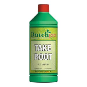 Take Root (Dutch Pro)