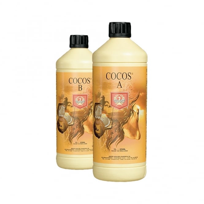 Coco A+B (House & Garden) - Image 2