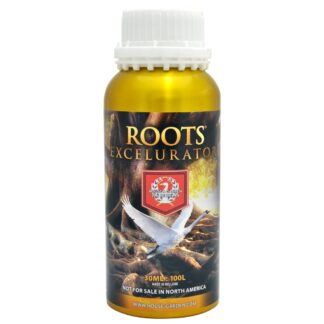 Coco Roots Excelurator