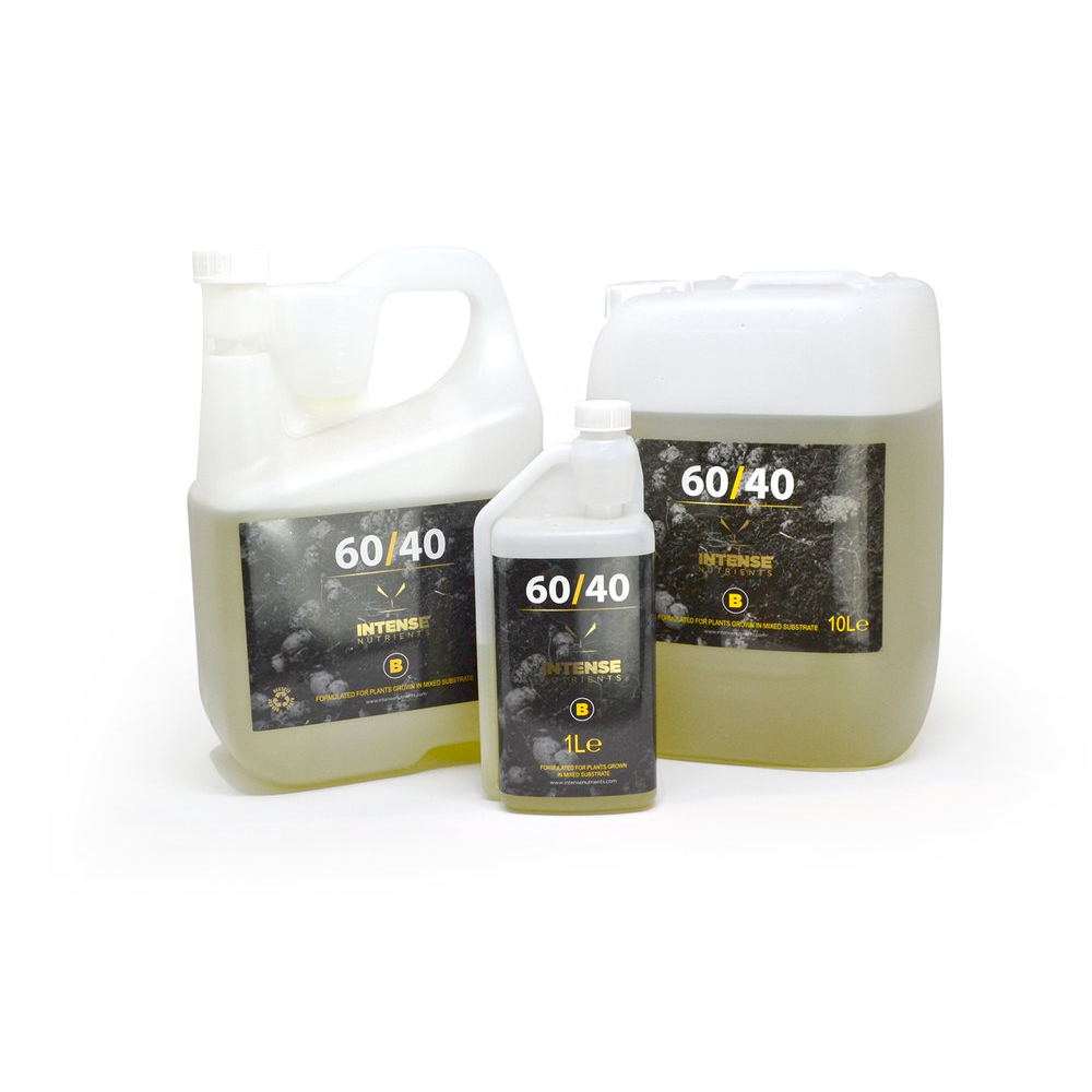 Intense 6040 A+B - Image 2