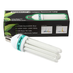 125w Maxibright 6400k Blue CFL