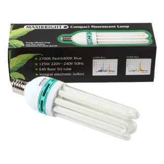 125w Maxibright 6400k Blue CFL
