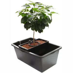 The Oxy-Dripper System (Brummie Bubbler)