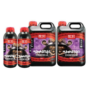 Samurai Coco (1A +1B) (Shogun)