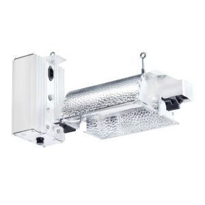 1000w Gavita Pro Classic DE