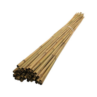 Bamboo, 4FT, 12-14mm Dia, 250 Pack