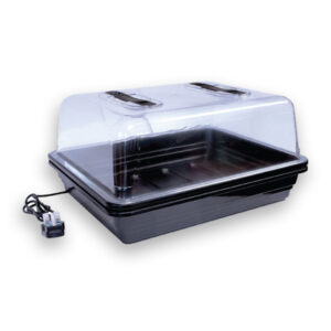 Medium Propagator (Heated)