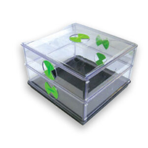 Vitopod 1 ? Double Layer