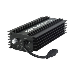 DigiDrive 600w Digital