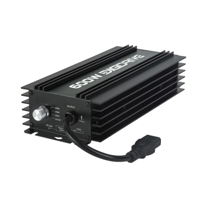 DigiDrive 600w Digital