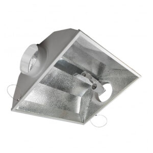 GoldStar 6? Air Cooled Reflector